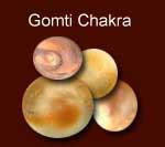 Gomti Chakra | Chakra for Prosperity | Sudarshan Chakras | Chakra Shell | Nag Chakra | Gomati ...