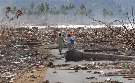 Where Did All the Indonesia Tsunami Debris Go? | The Weather Channel - Articles from The Weather ...