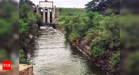 Jayakwadi dam water to replenish nearly-dry Majalgaon dam | Aurangabad News - Times of India