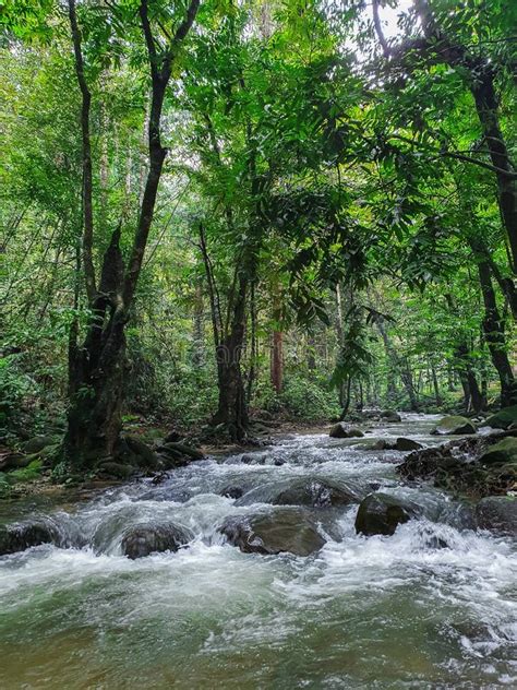 River Stream at Sungai Congkak, Selangor, Malaysia. Stock Photo - Image of hulu, freshness ...