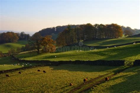 Rolling English Countryside In Autumn Stock Photo - Image of england, pastoral: 7254244