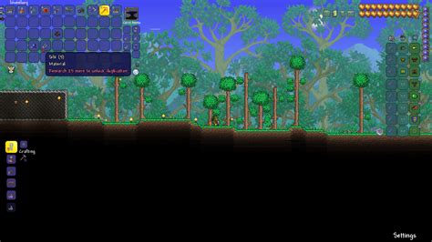 Terraria: Loom Crafting Station [Our Expert's Take] - eXputer.com