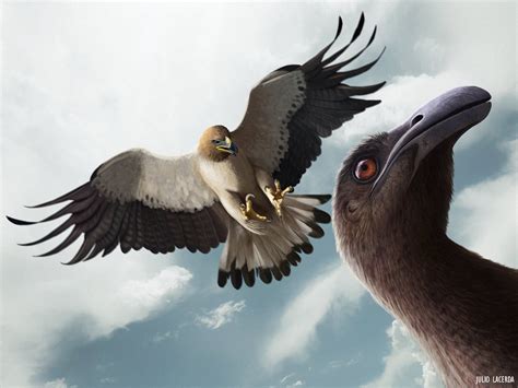 Haast Eagle Size Compared To Human