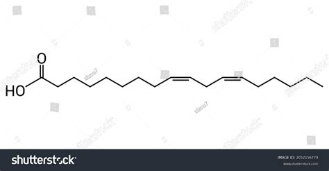 chemical structure of linoleic acid (C18H32O2) - Royalty Free Stock Vector 2052156779 - Avopix.com