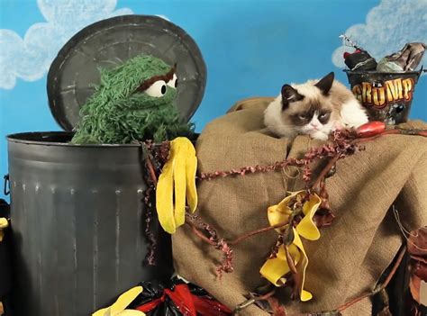 Oscar the Grouch Challenges Grumpy Cat to a Grouch Off - E! Online