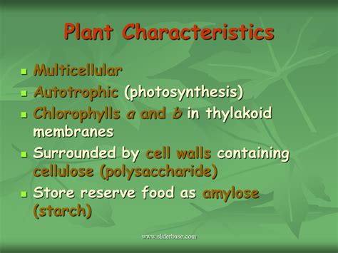 Characteristics Of Plant Kingdom - 02/2022