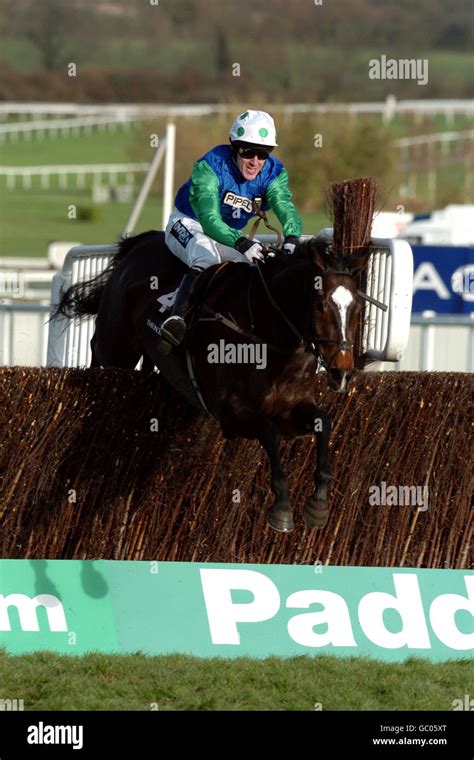 Horse Racing - Cheltenham Races Stock Photo - Alamy