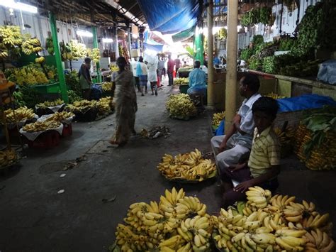 Mysore, "The Sandalwood City" - Wandering Wiebe 's Website