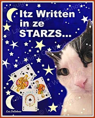 Amazon.com: Funny Cat meme Written in the Stars art Grumpy cat art Fortune Teller magic future ...