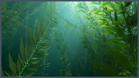 ArtStation - Kelp Forest Environment (procedural) | Game Assets