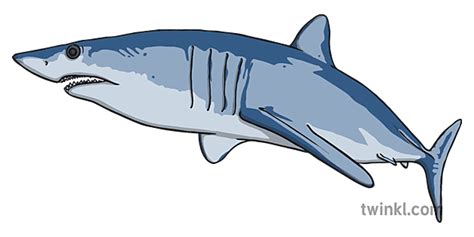 Mako Shark Facts for Kids | Twinkl Teaching Resources