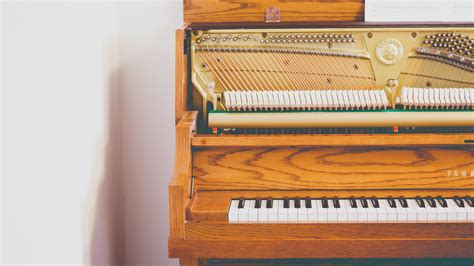 Gambar : alat musik, fortepiano, peralatan elektronik, pemain piano ...