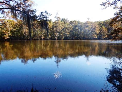 The Lone Star Hiking Trail is The Only One of Its Kind in Texas – Trips To Discover