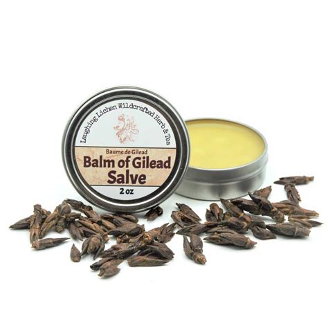 Balm of Gilead Salve - Laughing Lichen Wildcrafted Herb & Tea