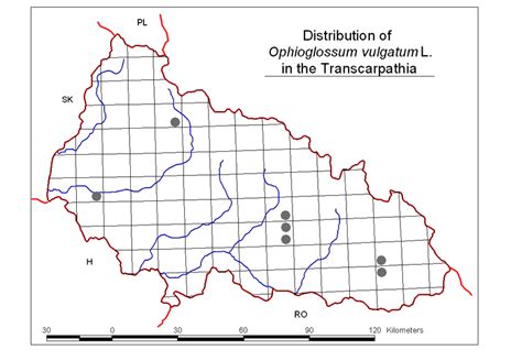 The distribution map example for plant species database. | Download ...