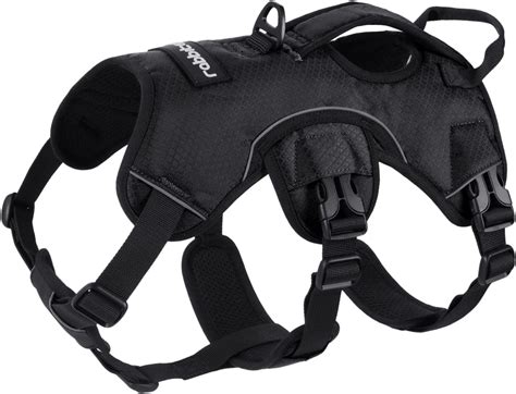 Buy rabbitgoo Escape Proof Dog Harness, Soft Padded Full Body Pet ...