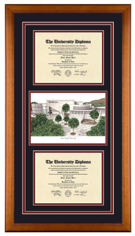 Azusa Pacific University – APU Cougars - Diploma Artworks