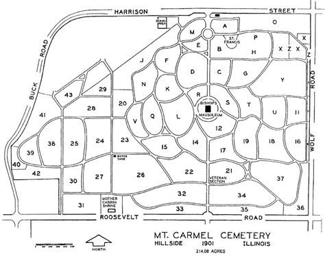 Mount Carmel Catholic Cemetery in Hillside, Illinois - Find a Grave ...