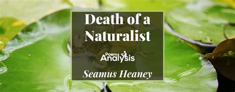 Death of a Naturalist by Seamus Heaney | Poem Analysis