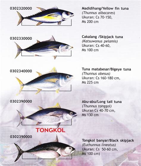 Tuna Fish Distribution