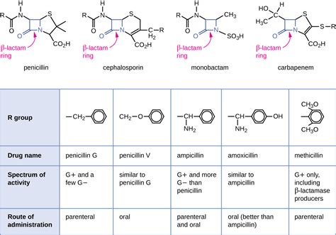 3.7 Cephalosporins – Nursing Pharmacology