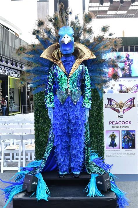 Donny Osmond wore "the Peacock" costume on 'The Masked Singer' #themaskedsinger #costumes # ...