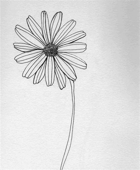 Pen Ink Drawing Tutorial How To Draw Flowers Ink Pen - vrogue.co