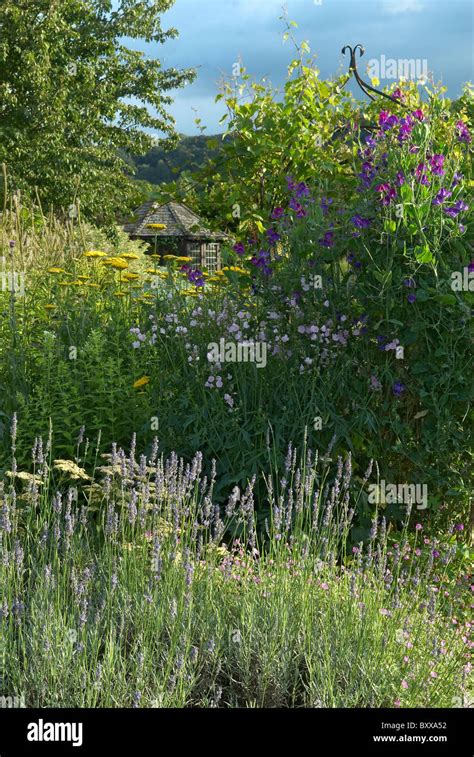 Rosemoor garden with summer house Stock Photo - Alamy