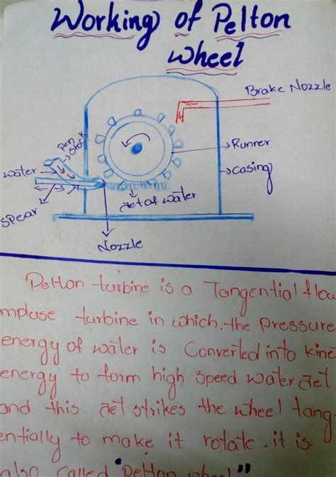 Explain the working of pelton wheel with a neat sketch - Brainly.in