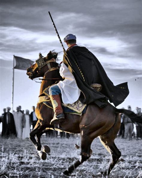 horses, Chaoui, Batna, Africa, North, Festival, Review, Horsemen ...