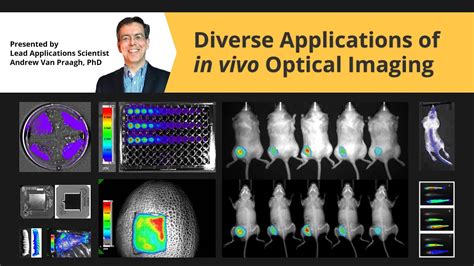 Diverse Applications of In Vivo Optical Imaging - YouTube