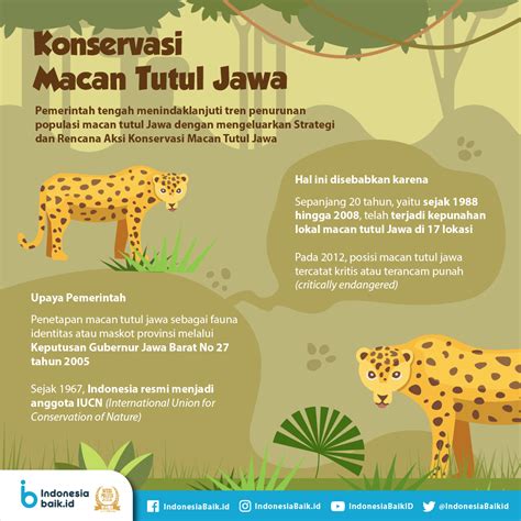 Konservasi Macan Tutul Jawa | Indonesia Baik