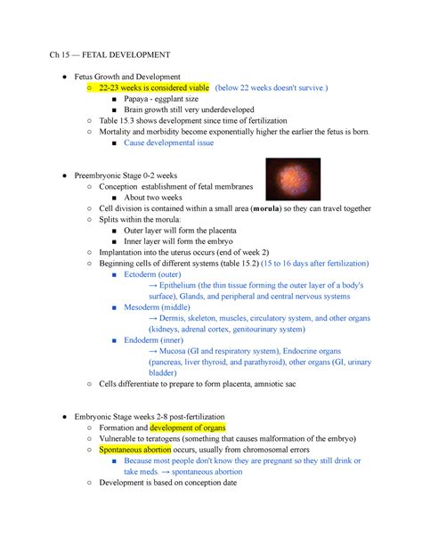 Ch 15 — Fetal Development - Ch 15 — FETAL DEVELOPMENT Fetus Growth and ...