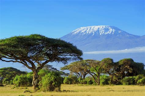 Kilimanjaro Wallpapers - Top Free Kilimanjaro Backgrounds - WallpaperAccess