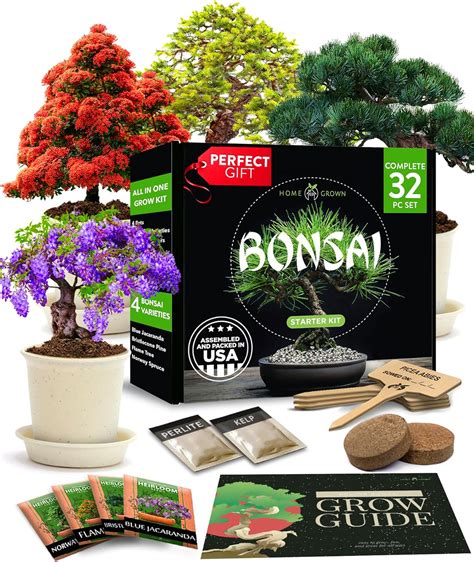 Amazon.com : Bonsai Tree Kit, Grow Your Own: Premium 4 Bonsai Trees Starter Kit | Unique ...