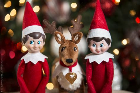 12 Fun facts about Elf on the Shelf you never knew before