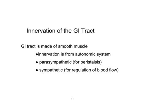 Innervation of the GI Tract