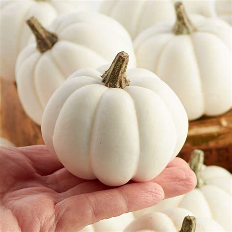 Small Artificial Baby Boo Pumpkins - Vase and Bowl Fillers - Home Decor ...