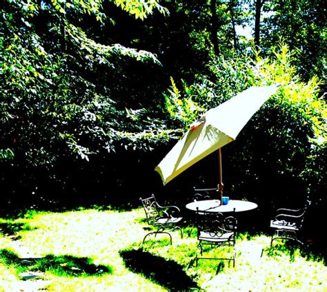 Summer in Seattle, outside patio table and umbrella, trees… | Flickr