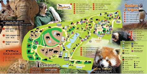 The Top 10 Most Visited Wildlife Attractions in the UK