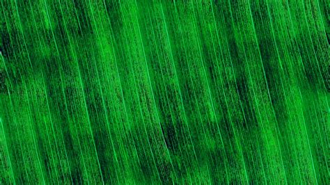 Green Abstract Line Background Free Stock Photo - Public Domain Pictures