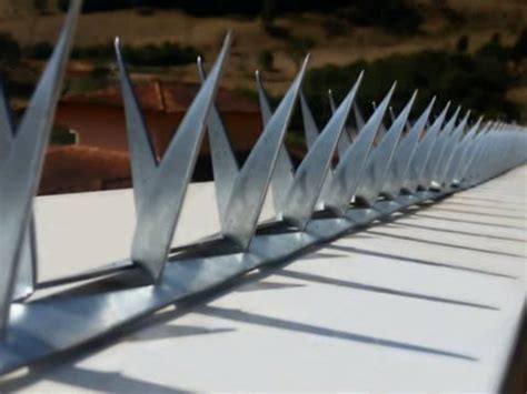 Wall Spikes Fences – Galvanized Steel Sheet and Stainless Steel Type