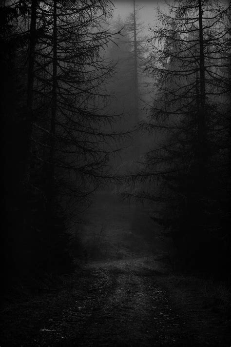 Photo by eberhard grossgasteiger on Unsplash - REMEMBERLESS | Dark landscape, Forest aesthetic ...