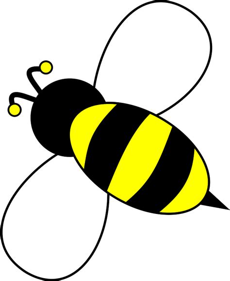 Flying bee clipart. Free download transparent .PNG | Creazilla