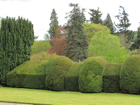 BRECHIN CASTLE GARDEN 04-05-2014 15-00-06 | Plantaholic Sheila | Flickr