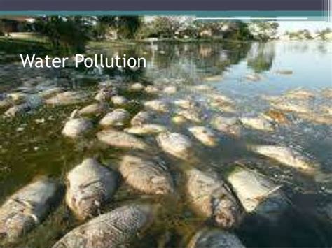 Water pollution due to heavy metals, pesticides