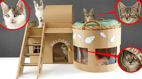 Build Cat House Cardboard Boxes at Dorothy Martin blog