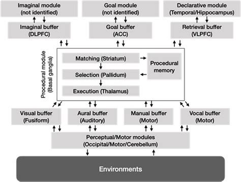 Schematic diagram of the ACT-R cognitive architecture. The neural... | Download Scientific Diagram