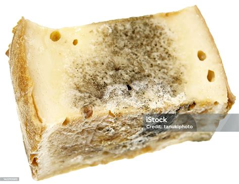 Maggots On Cheese Stock Photo - Download Image Now - Aging Process, Bacterium, Biodegradable ...