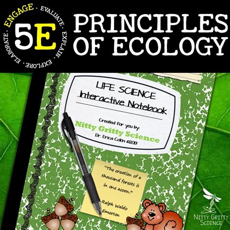 Principles of Ecology | Nitty Gritty Science